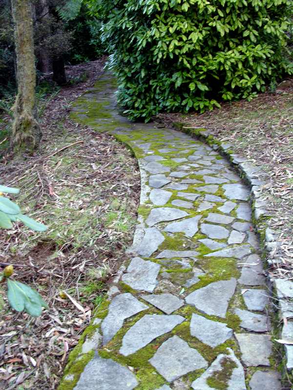 Geology, Soils & Climate at Breenhold Gardens