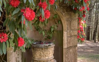 Alcove in Gothic Wall