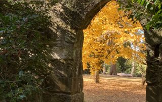 Gothic Wall Arch