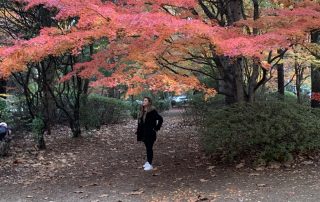 Maple entrance to Parklands