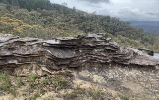 Weathering patters sandstone