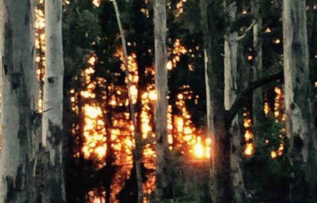 Setting Sun on Western Slopes